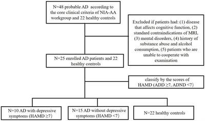 The mediating effect of 18F-FDG metabolism in right caudate between depressive symptoms and cognitive function in Alzheimer’s disease